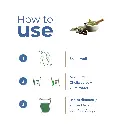 4.webp