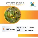 Diava Plus - What Inside?