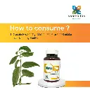 Daiva Plus - How to Consume