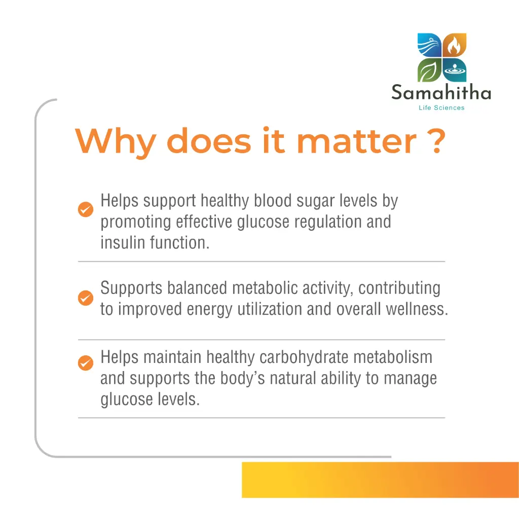 Daiva Plus - Why does it Matter?