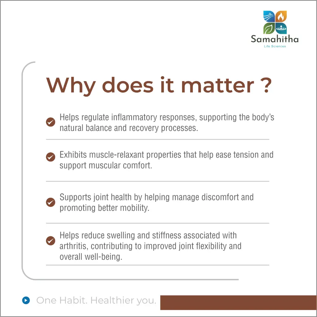 Relivion Joint - Why Does It Matter?