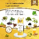 Diava Juice - How to create a better sugar balance